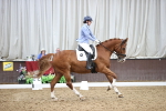 SBM_020028