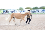SBM_18752