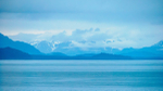 Juneau and Humpbacked Whales-308