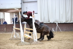 SBM_001784