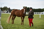 DSC_8478