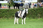 SBM_51840