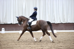 SBM_000846