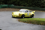 04-10-2020 Pete Wilson-237