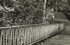 JamesGardens2310-9bw