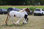 WJ6_6584