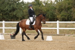 SBM_010594