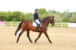 SBM_005053