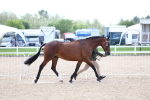 SBM_15330