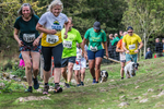 Dovedale-1496