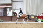 SBM_014144