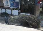 Egypt Street and River 1 1jpg