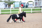 SBM_00290