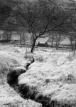 Glen Dhoo