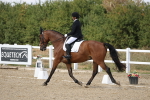 SBM_014764