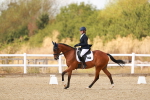SBM_018736