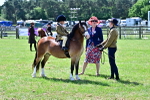 SBM_05822