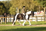 SBM_30107