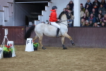 SBM_003277