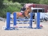 BPP_4447