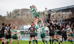 Guernsey Raiders v Rochford Hundred-4