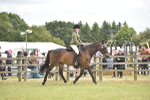 SBM_15959
