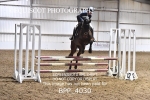 BPP_4030
