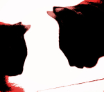 Cat-Sitter-Fulham