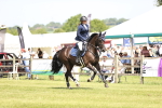 SBM_04090