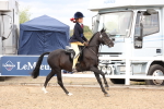 SBM_06181