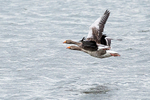 20140417-3K8A0153