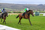 240126-Race 6-The New Lion-7484
