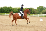 SBM_006326