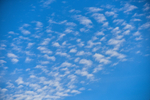 ACP_4728-1