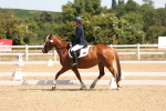 SBM_001265