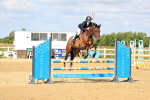 Class 7 - Senior British Novice-90cm Open portfolio