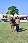 SBM_19822