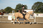 SBM_11257
