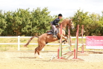 SBM_004880