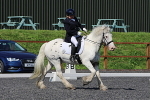 SIAL0450