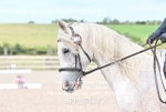 BPP_7417