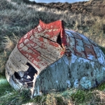 forgotten punt carricfinn