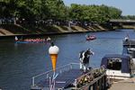 THE YORK ROTARY DRAGON BOAT CHALLENGE 2026 - 70 of 426