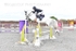 BPP_5768