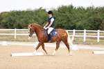 SBM_006577