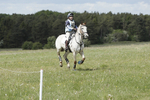 BVHT 140517  NXC -341