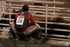 Rodeo 156