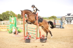 SBM_004959