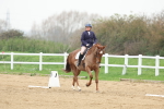 SBM_006279