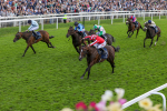 230824-Race 4-Bradsell-8412